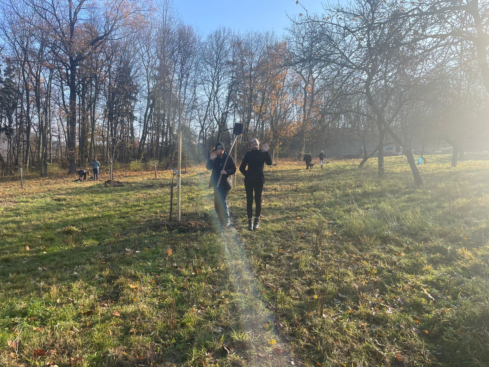 [2025-11-08]_sazeni_stromku_na_rene_0082