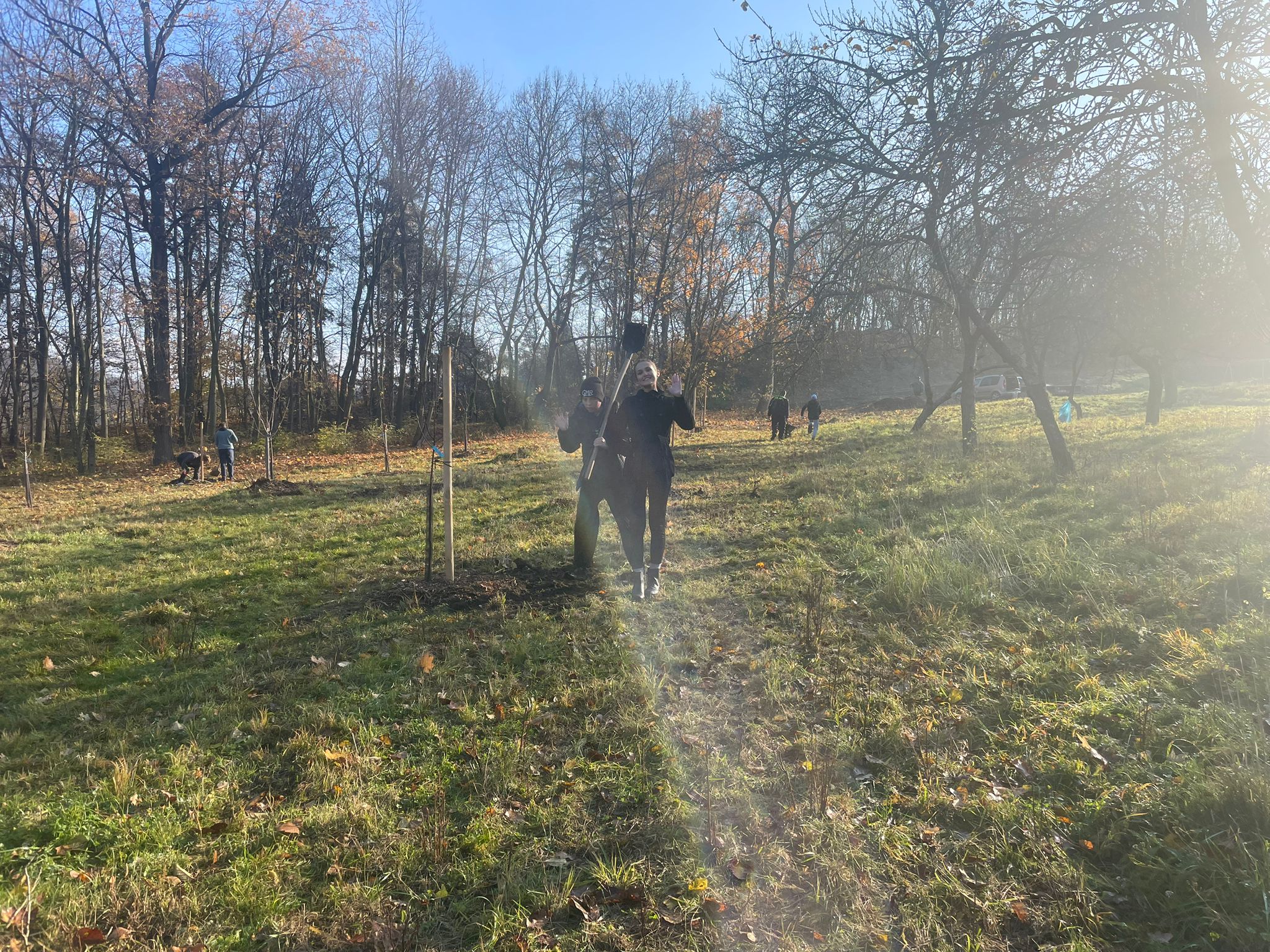 [2025-11-08]_sazeni_stromku_na_rene_0083