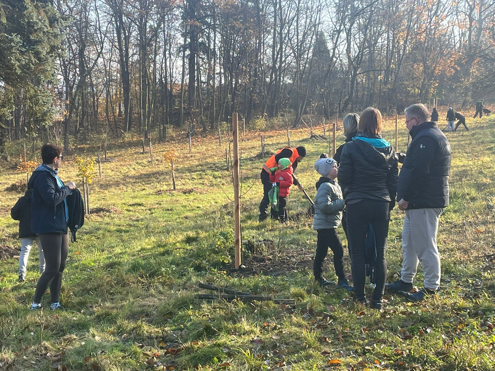 [2025-11-08]_sazeni_stromku_na_rene_0086