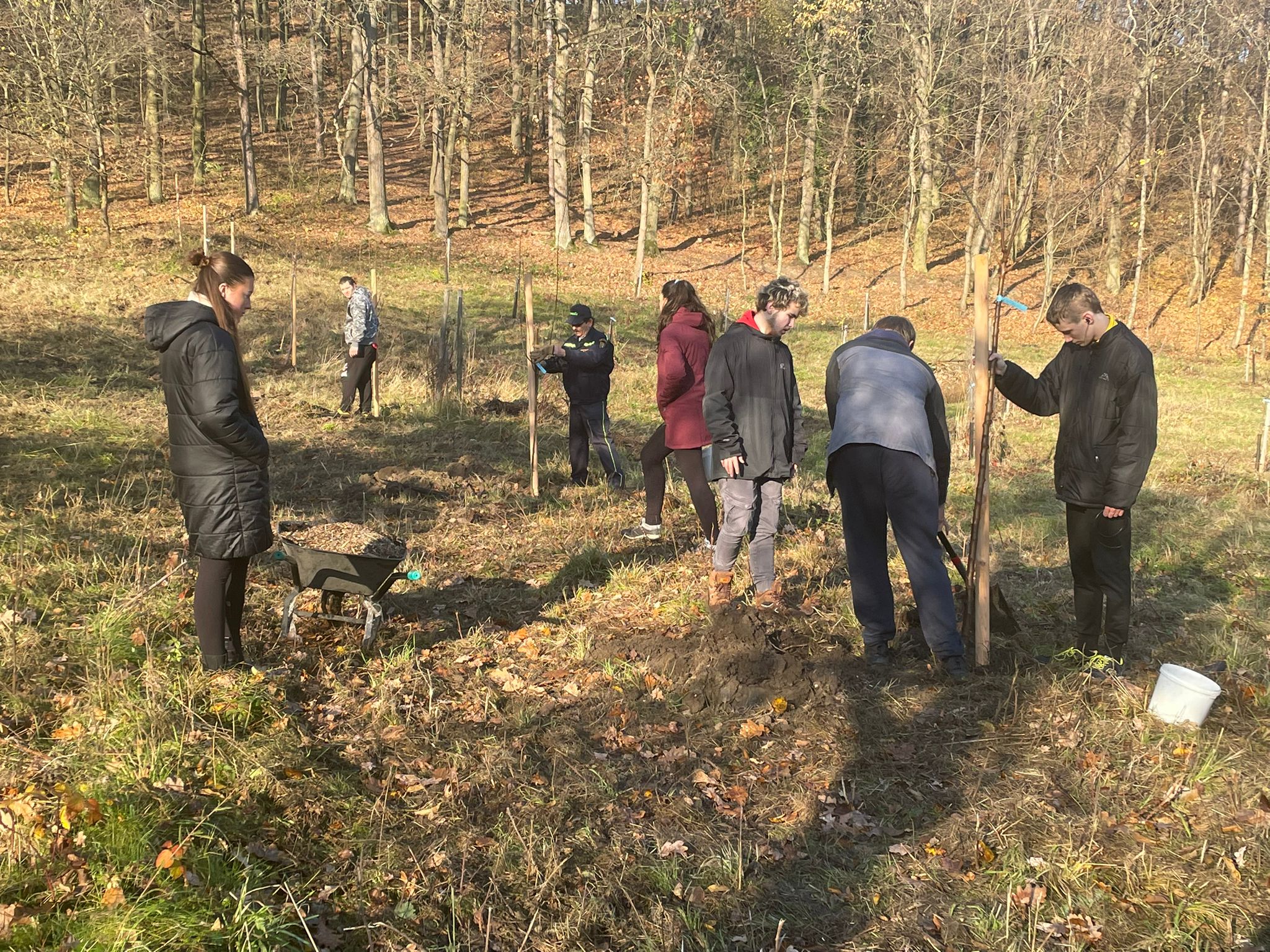 [2025-11-08]_sazeni_stromku_na_rene_0090