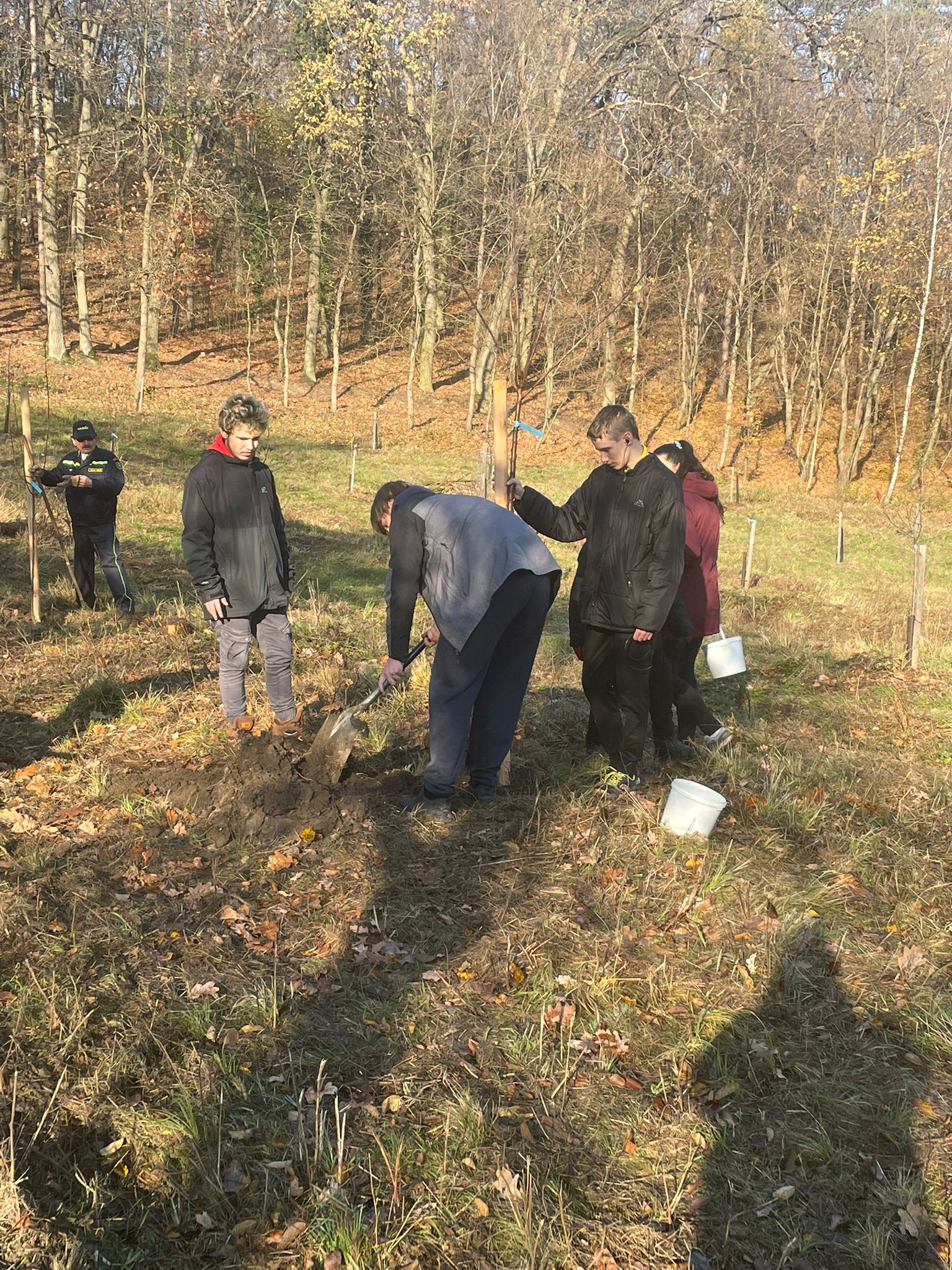 [2025-11-08]_sazeni_stromku_na_rene_0091