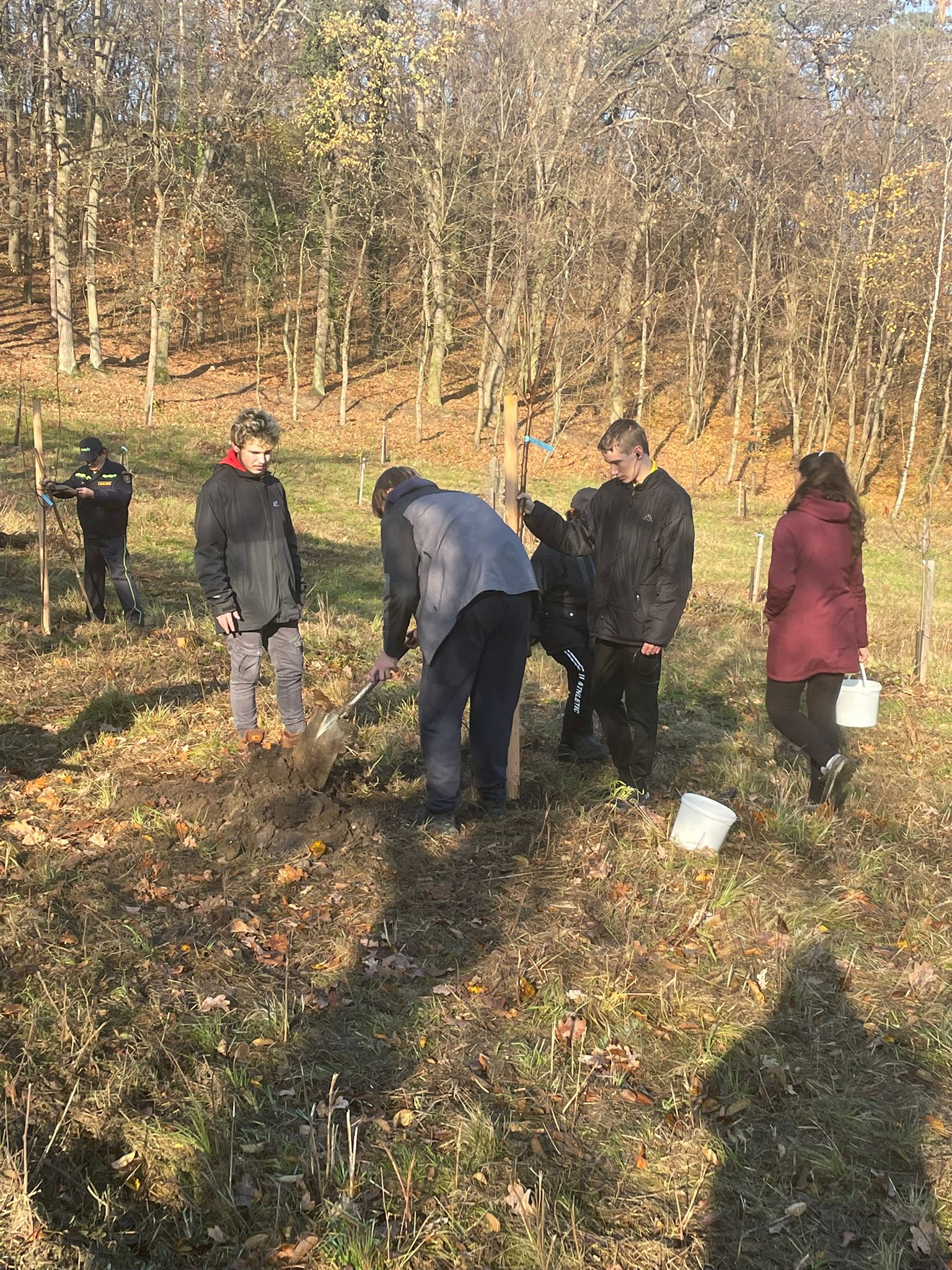 [2025-11-08]_sazeni_stromku_na_rene_0092