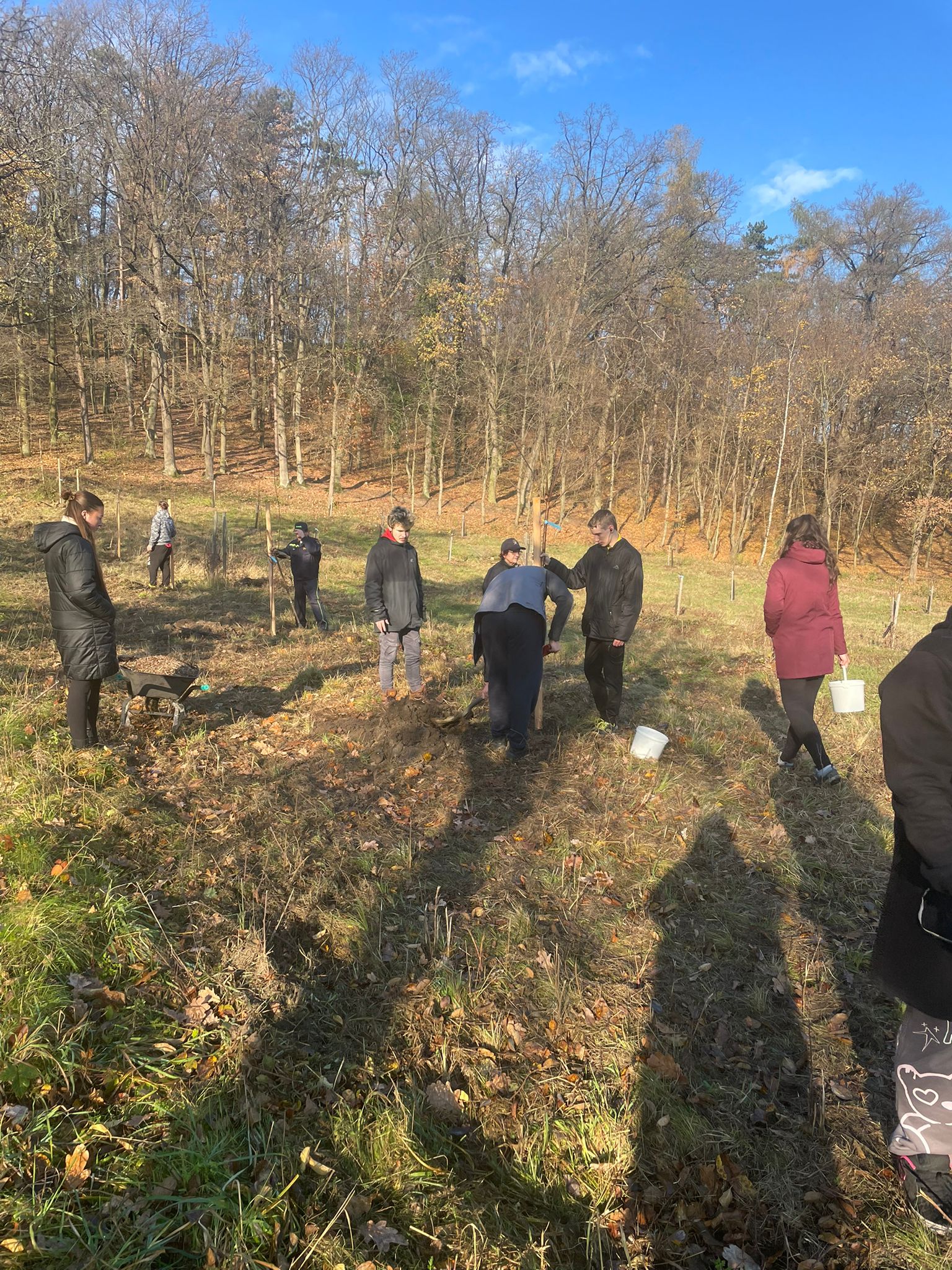 [2025-11-08]_sazeni_stromku_na_rene_0093