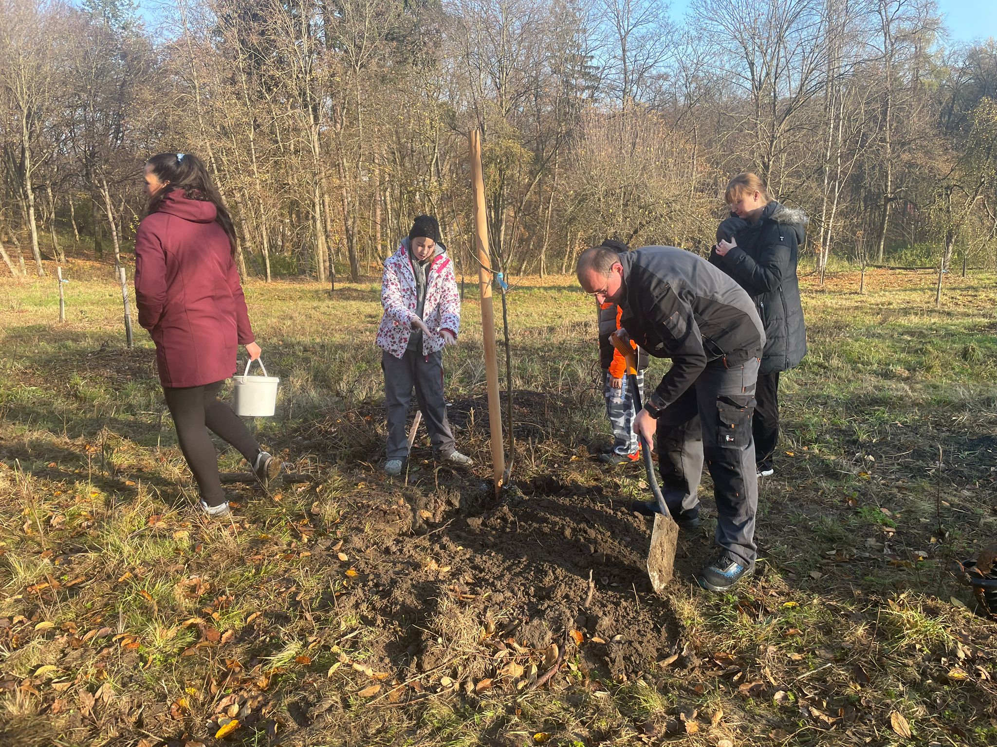 [2025-11-08]_sazeni_stromku_na_rene_0094