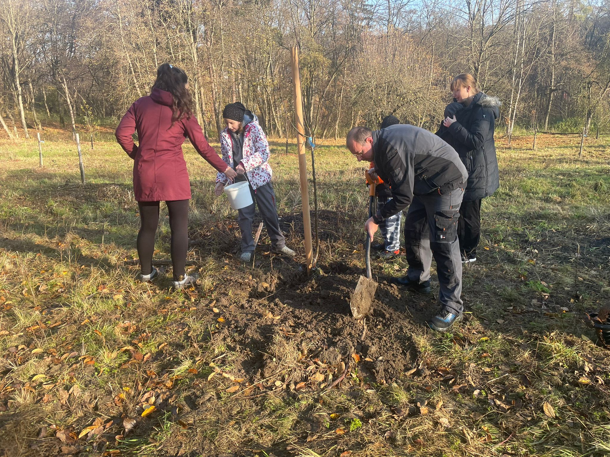 [2025-11-08]_sazeni_stromku_na_rene_0095