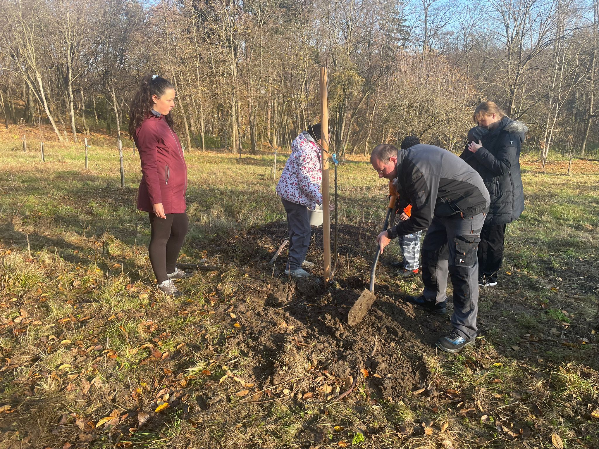 [2025-11-08]_sazeni_stromku_na_rene_0097