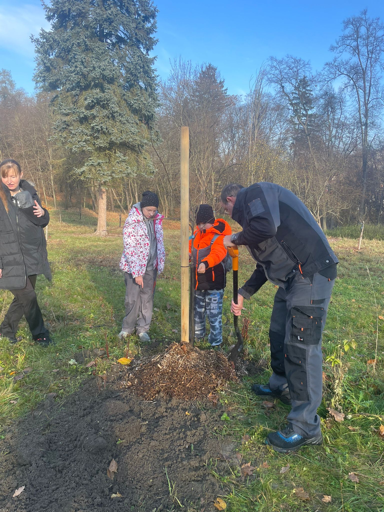 [2025-11-08]_sazeni_stromku_na_rene_0100