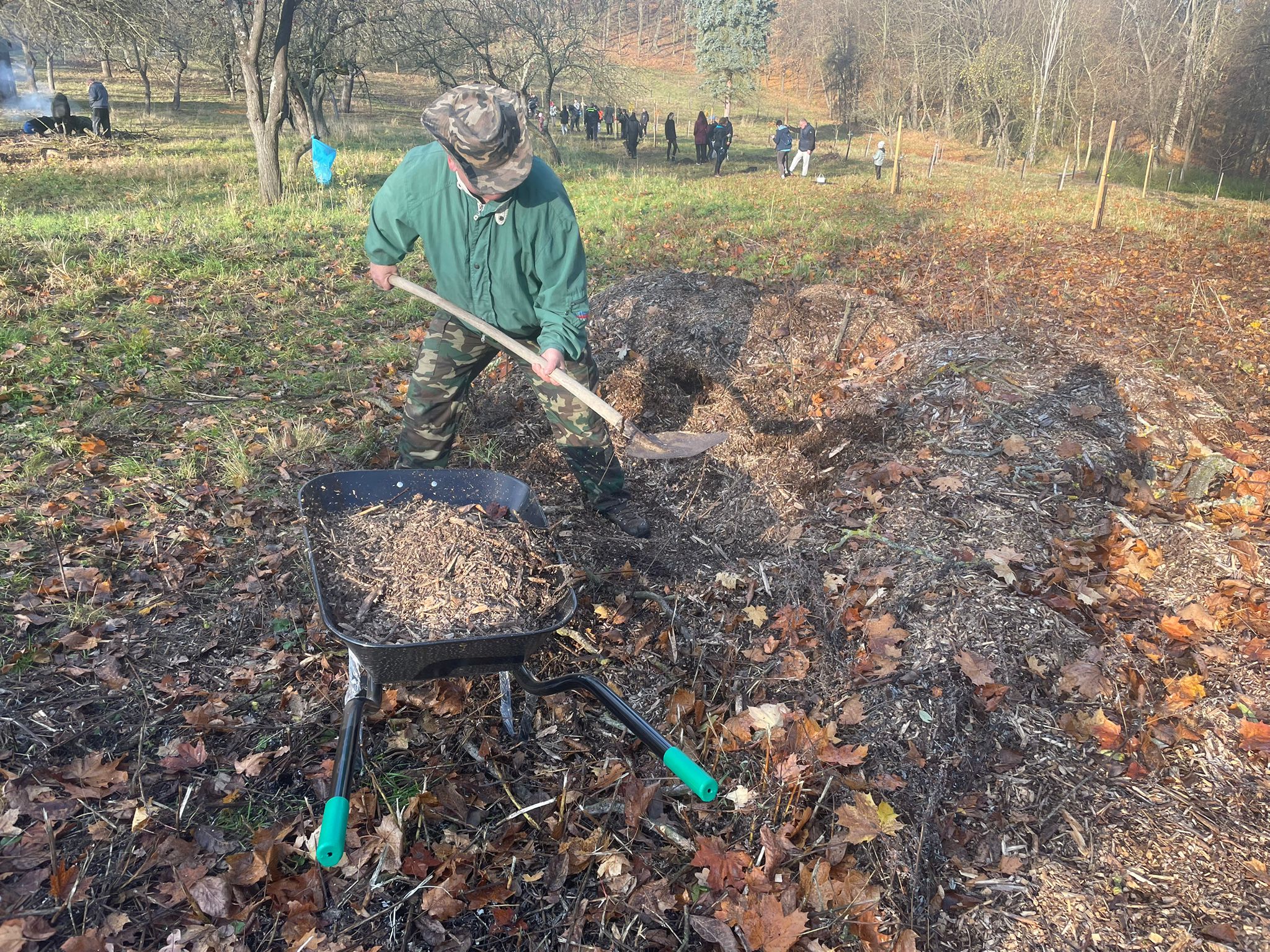 [2025-11-08]_sazeni_stromku_na_rene_0101