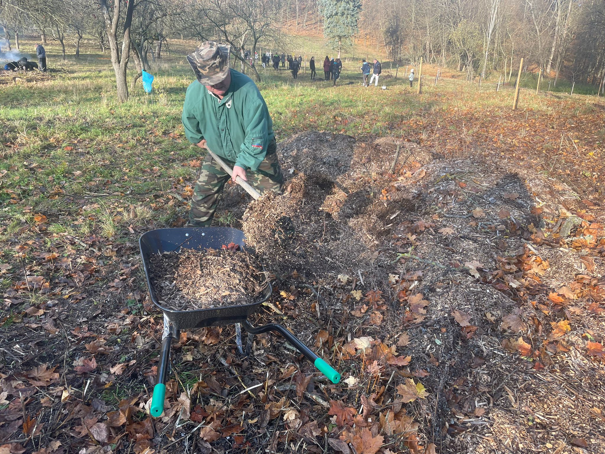 [2025-11-08]_sazeni_stromku_na_rene_0102