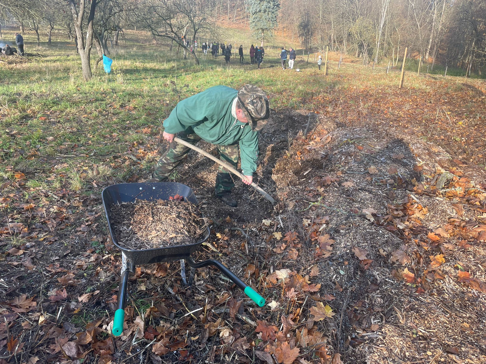 [2025-11-08]_sazeni_stromku_na_rene_0103