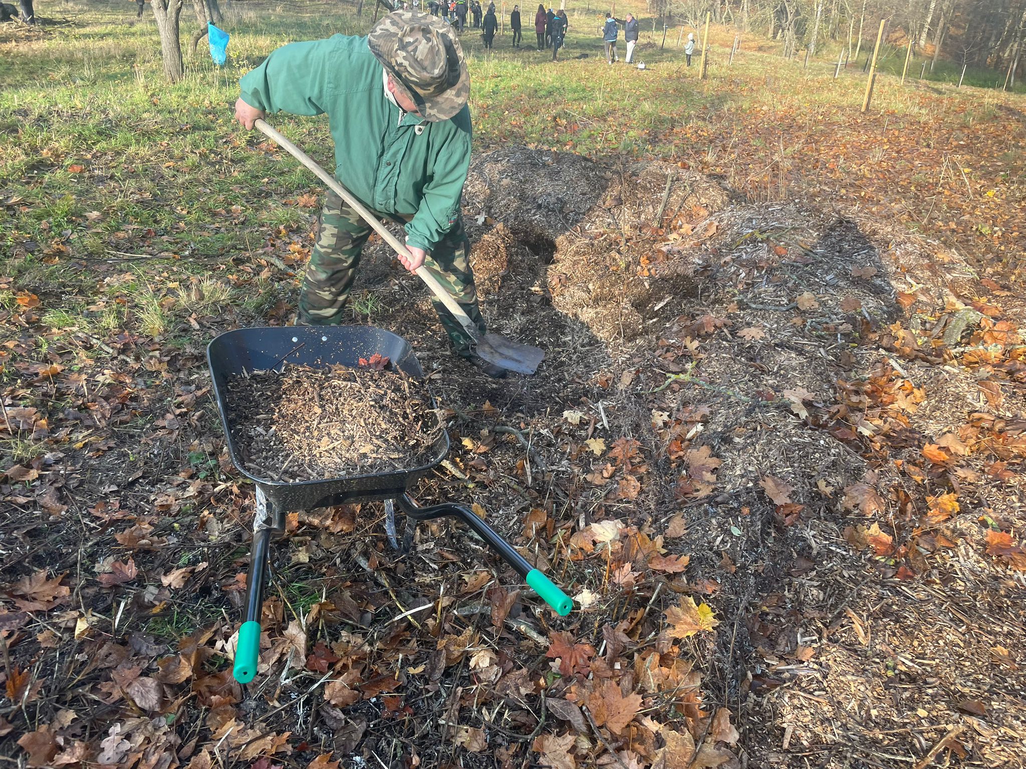 [2025-11-08]_sazeni_stromku_na_rene_0104