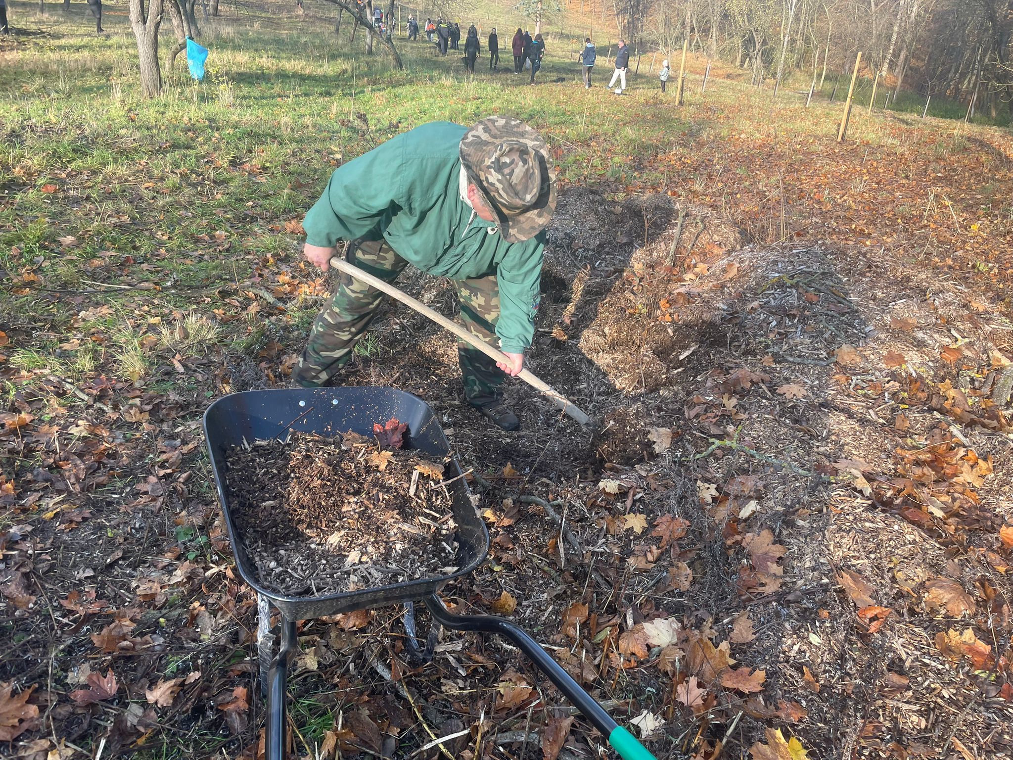 [2025-11-08]_sazeni_stromku_na_rene_0105