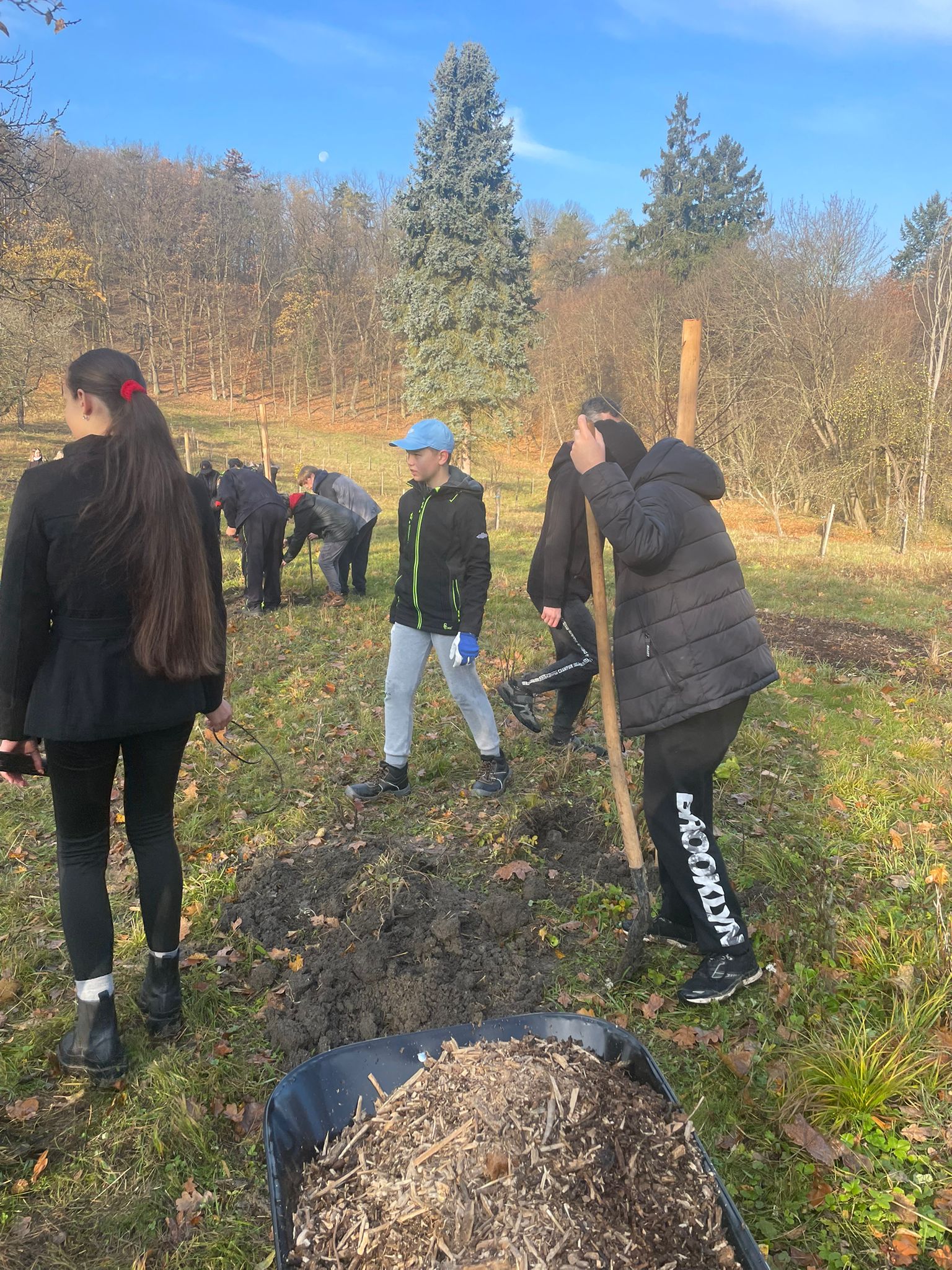 [2025-11-08]_sazeni_stromku_na_rene_0110