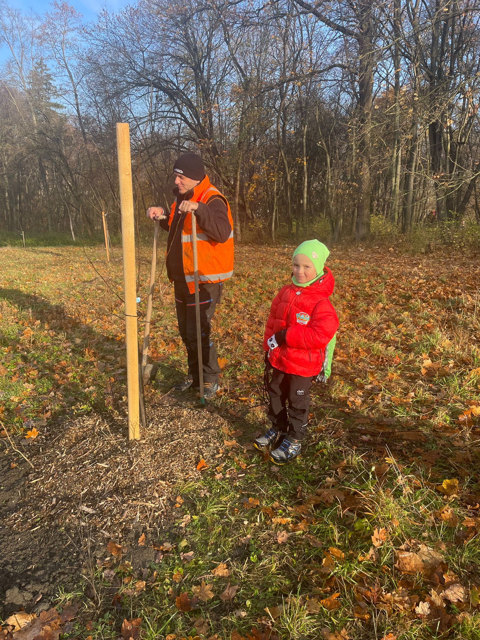 [2025-11-08]_sazeni_stromku_na_rene_0112