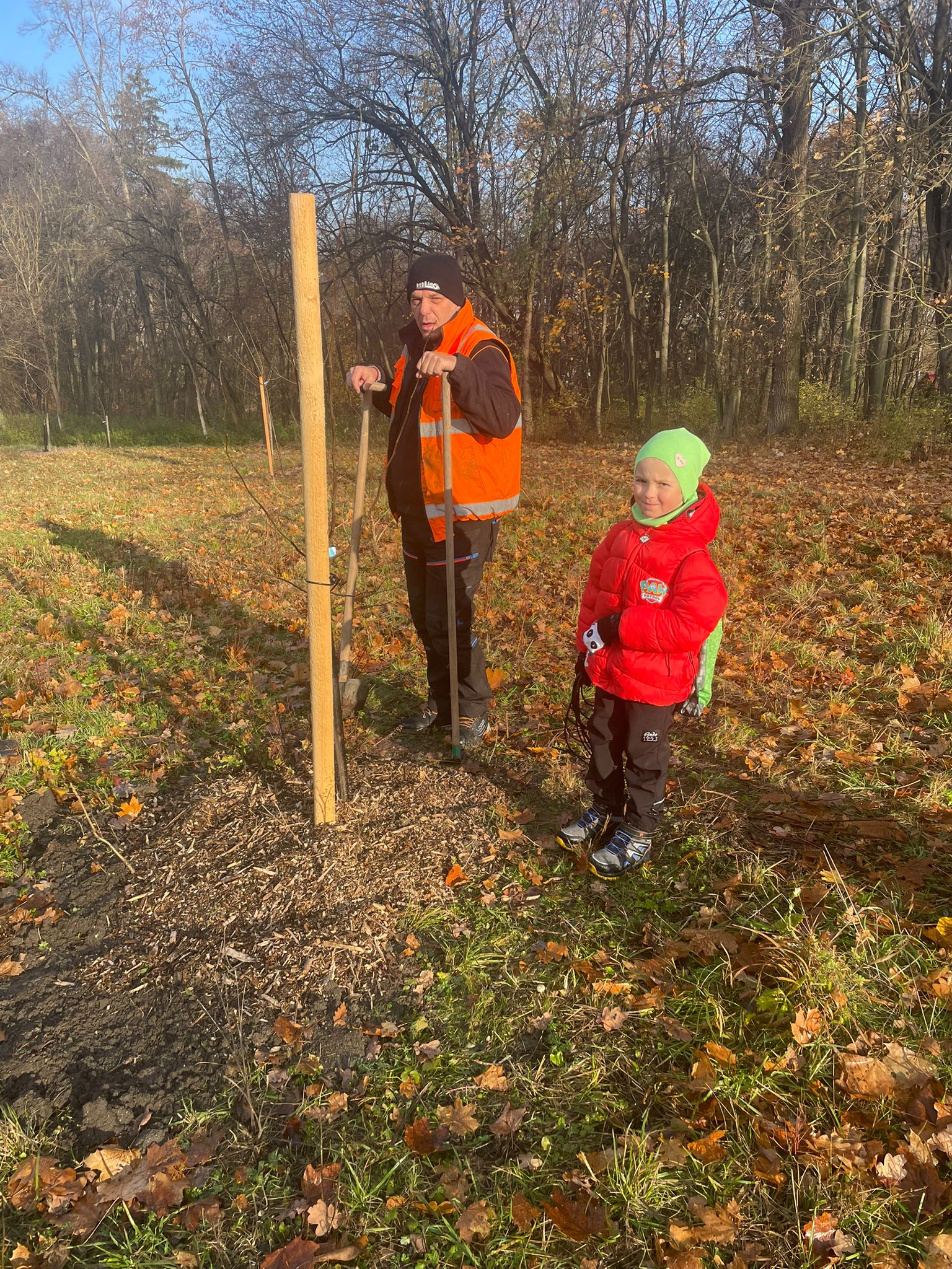 [2025-11-08]_sazeni_stromku_na_rene_0113