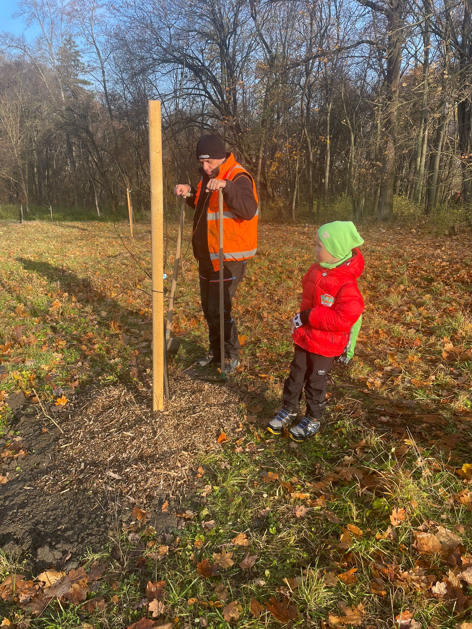 [2025-11-08]_sazeni_stromku_na_rene_0114