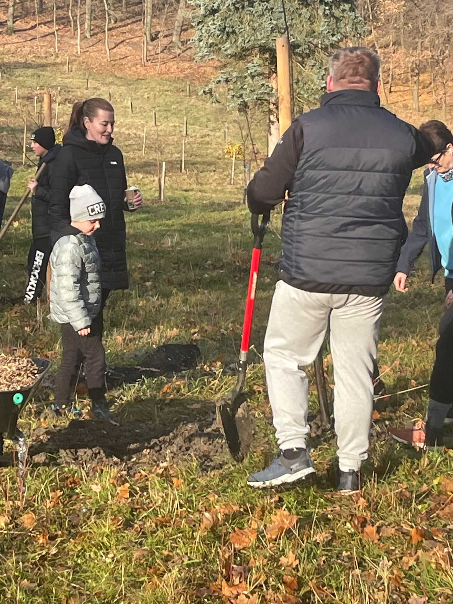 [2025-11-08]_sazeni_stromku_na_rene_0115