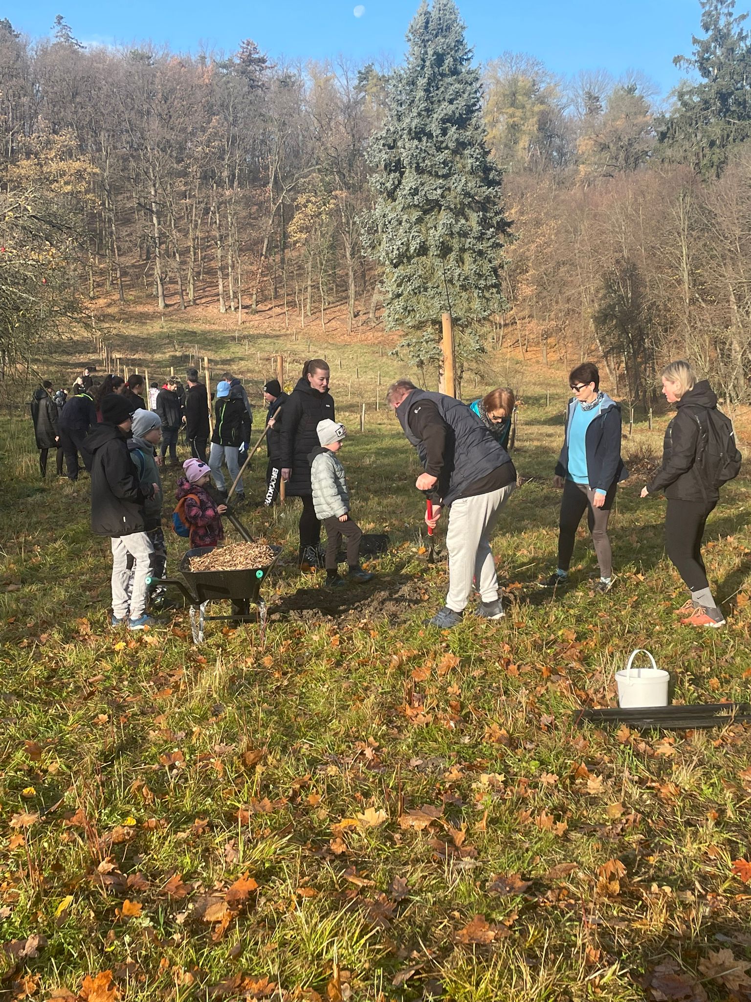 [2025-11-08]_sazeni_stromku_na_rene_0116