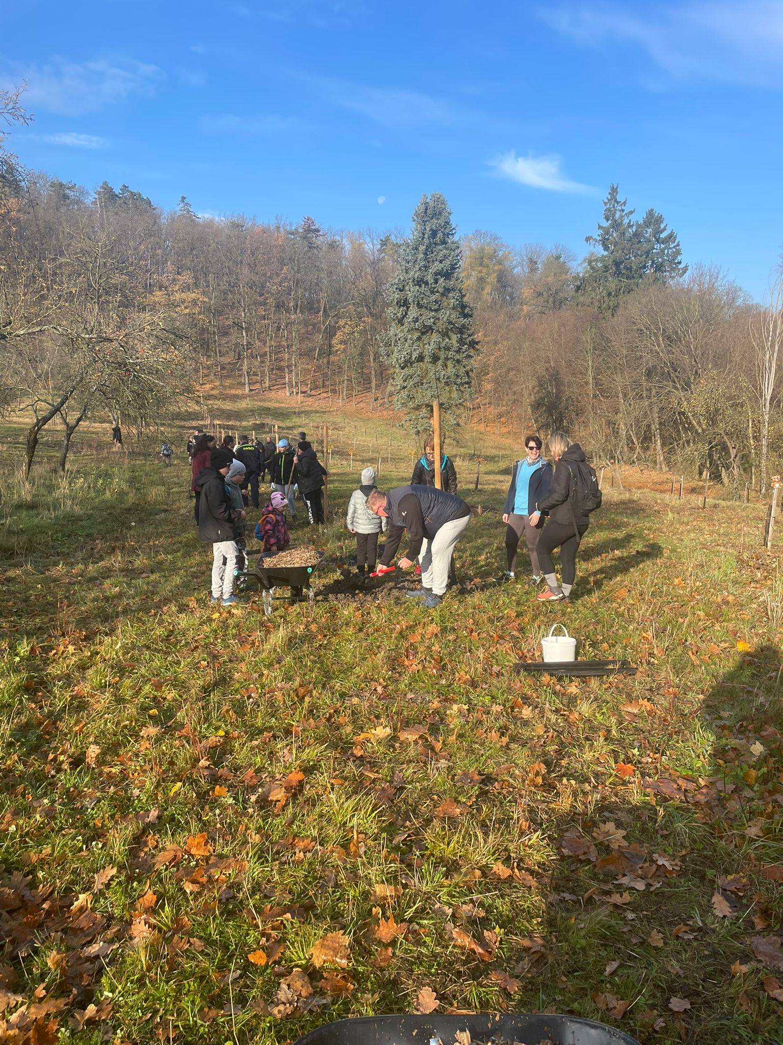 [2025-11-08]_sazeni_stromku_na_rene_0117