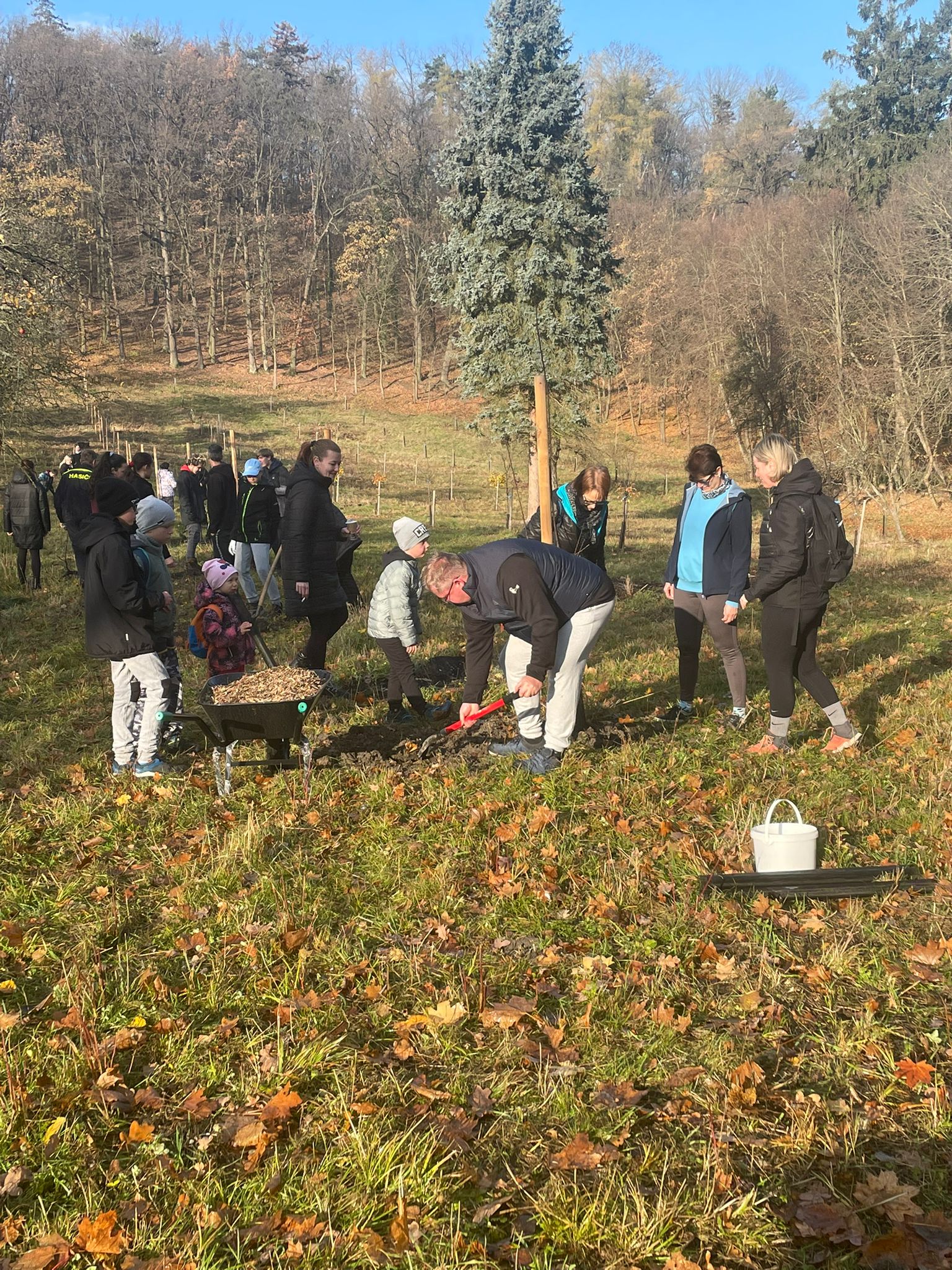 [2025-11-08]_sazeni_stromku_na_rene_0118